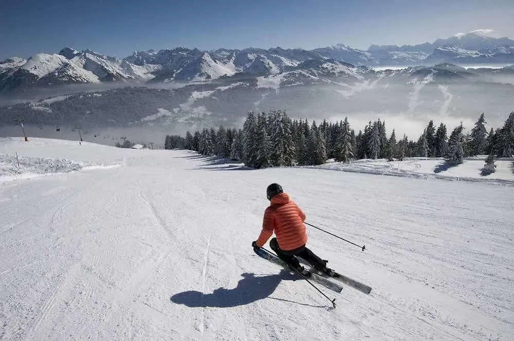 ** Aparthotel Chalet Hotel Regina Les Gets France