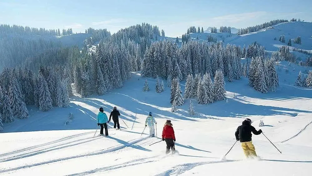 Chalet Hotel Regina Les Gets